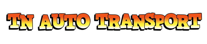 T-N-Auto-Transportation